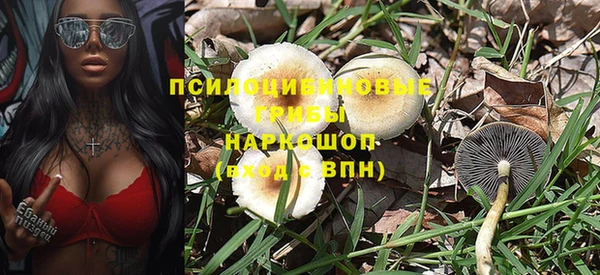 дживик Алексин