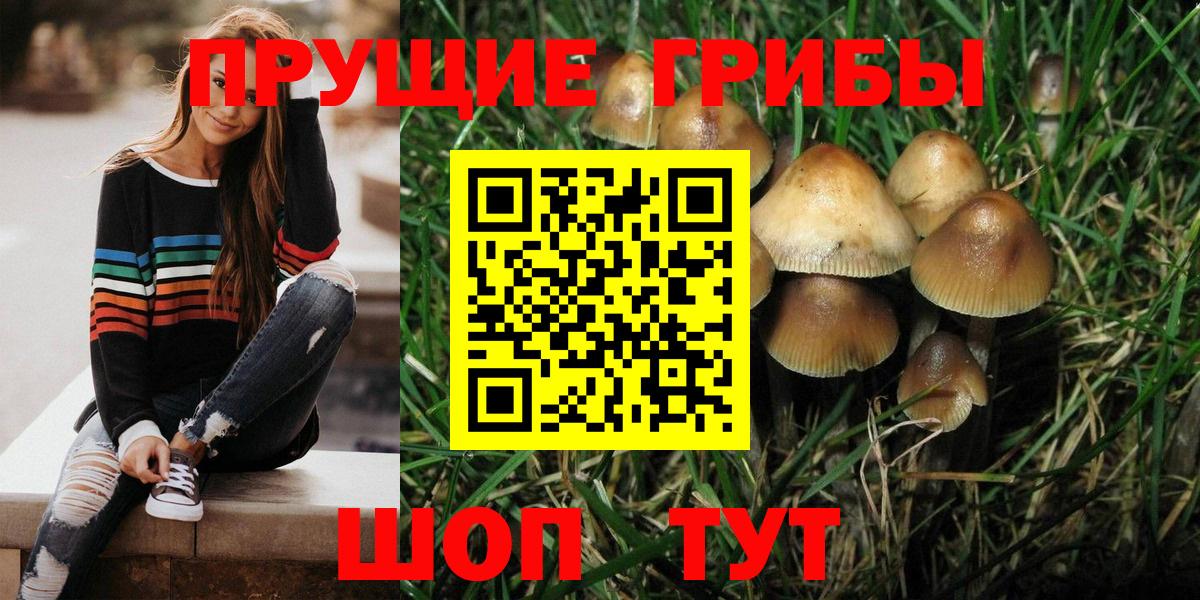 Галлюциногенные грибы мухоморы Минусинск